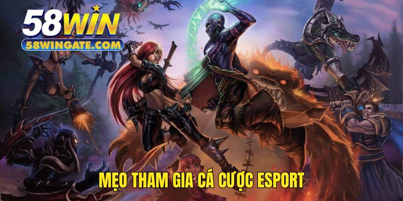 Khách hàng cần hiểu về tỷ lệ cá cược Esport