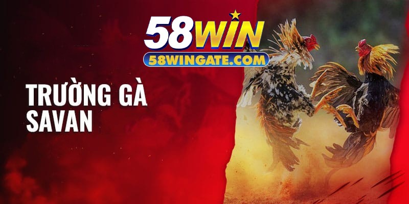 Sơ lược về trường gà Savan
