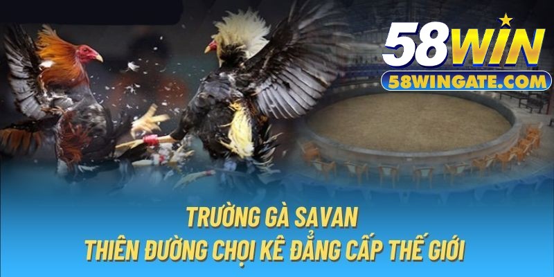 Truong-ga-Savan-thien-duong-choi-ke